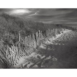 Dune and Fence  8 x 10 print